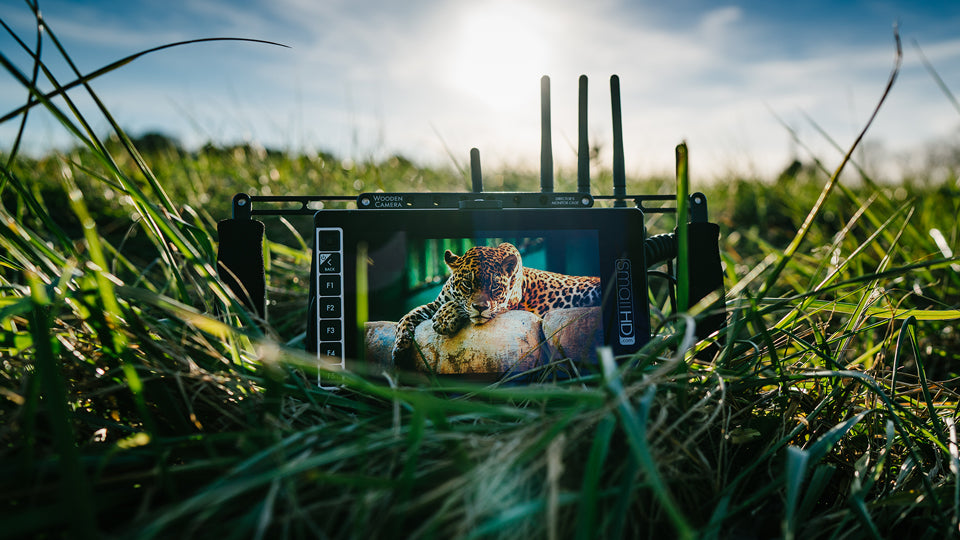 703 Ultrabright On-Camera Monitor