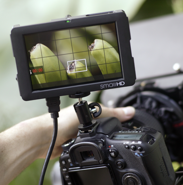 SmallHD DP6